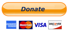 PayPal DONATE button